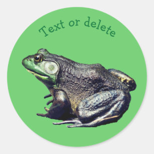 Big Old Bullfrog Nature Animal Personalized Classic Round Sticker