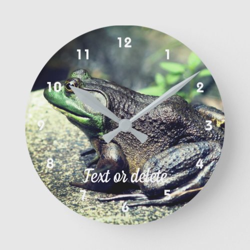 Big Old Bullfrog On Rock Personalized Round Clock