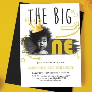 BIG ONE First Birthday Photo