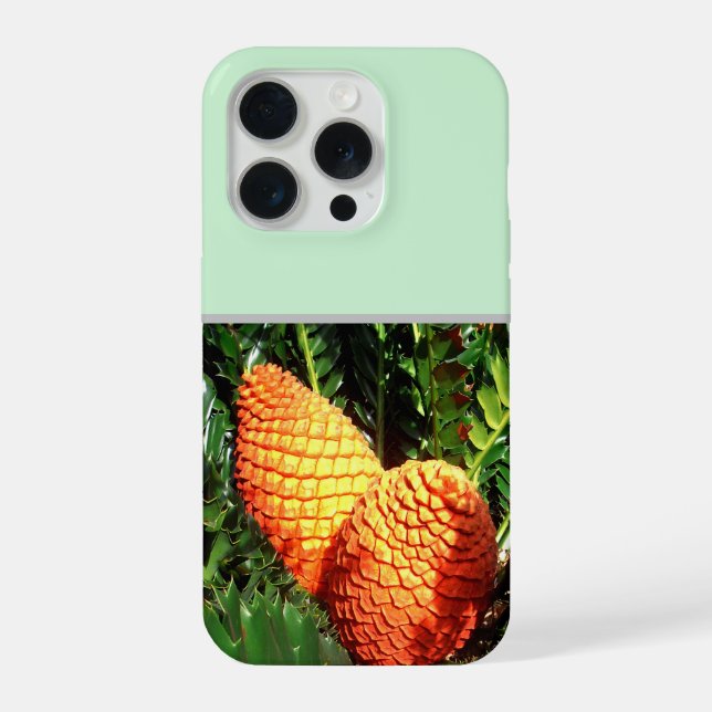 Big Orange African Seed Cone Pods, iPhone Case (Back)