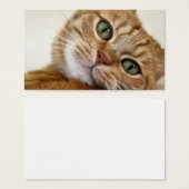 Big Orange Kitty (Front & Back)