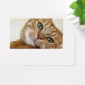 Big Orange Kitty (Desk)