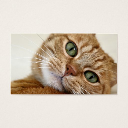 Customizable Big Orange Kitty Business Card