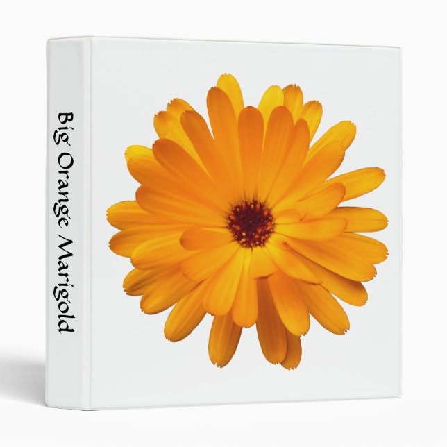 Big Orange Marigold (1in) 3 Ring Binder (Front/Spine)