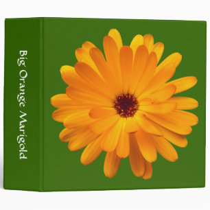 Big Orange Marigold (2in) - Green 336600 3 Ring Binder