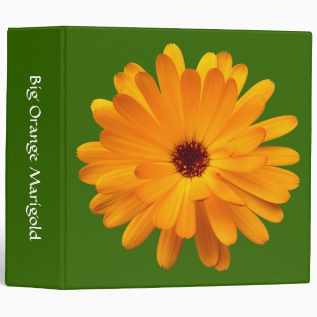 Big Orange Marigold (2in) - Green 336600 3 Ring Binder (Front/Spine)