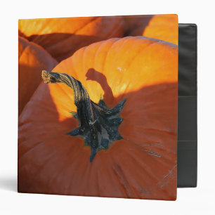 Big Orange Pumpkin 3 Ring Binder