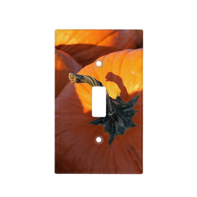 Big Orange Pumpkin  Light Switch Cover (Front)