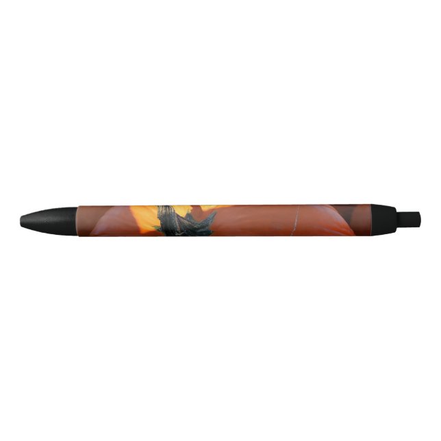 Big Orange Pumpkin  Pen (Front)