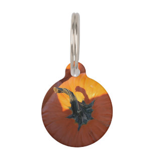Big Orange Pumpkin  Pet ID Tag