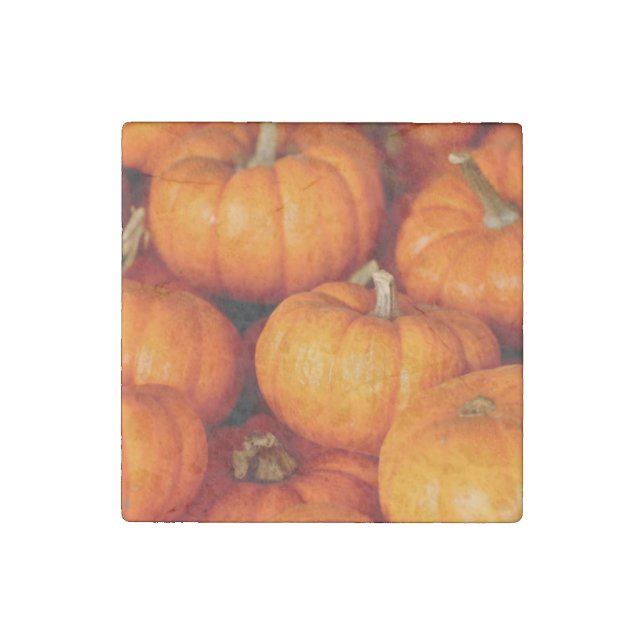 Big Orange Pumpkins Stone Magnet (Front)