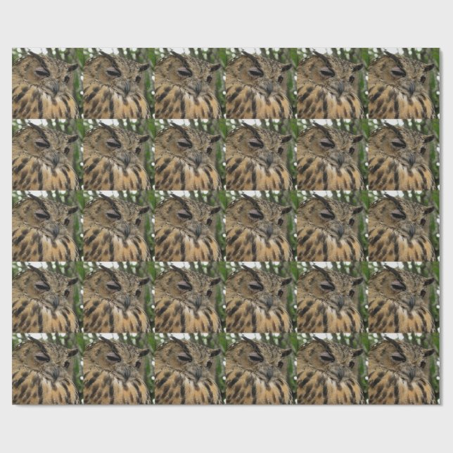 Big Owl Bubo Bubo Boo- Halloween Series Wrapping Paper (Flat)