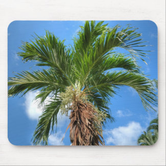 Big palm tree on blue sky in windy day mouse pad
