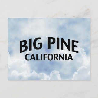 Big Pine California Postcard