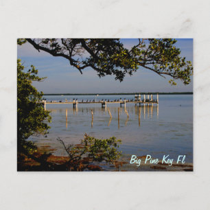 Big Pine Key Bird Dock Postcard