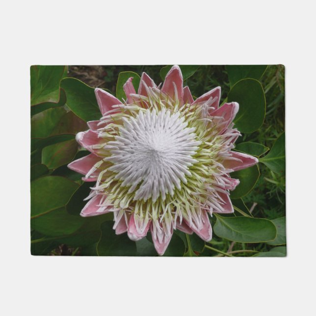 Big Pink and White Flower Nature Photo Doormat (Front)