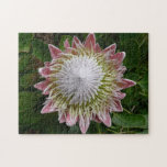 Big Pink and White Flower Nature Photo Jigsaw Puzzle
