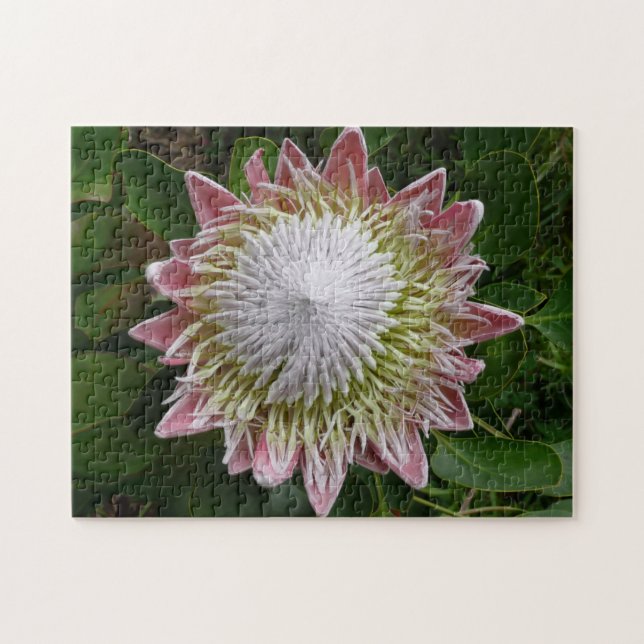 Big Pink and White Flower Nature Photo Jigsaw Puzzle (Horizontal)