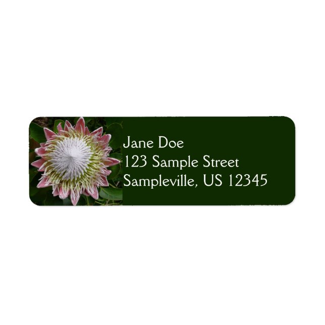 Big Pink and White Flower Nature Photo Label (Front)