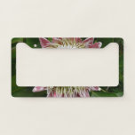 Big Pink and White Flower Nature Photo License Plate Frame