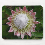 Big Pink and White Flower Nature Photo Mouse Pad