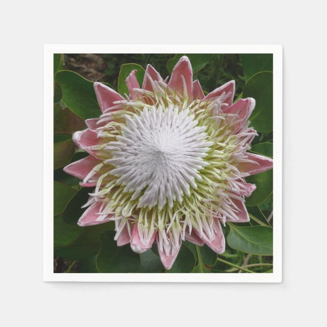 Big Pink and White Flower Nature Photo Napkins (Front)