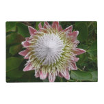 Big Pink and White Flower Nature Photo Placemat