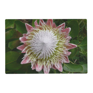 Big Pink and White Flower Nature Photo Placemat
