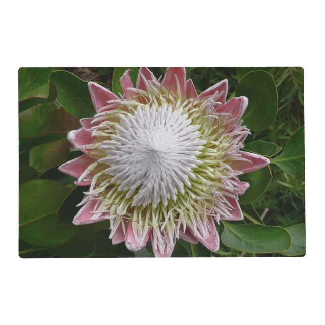 Big Pink and White Flower Nature Photo Placemat (Front)