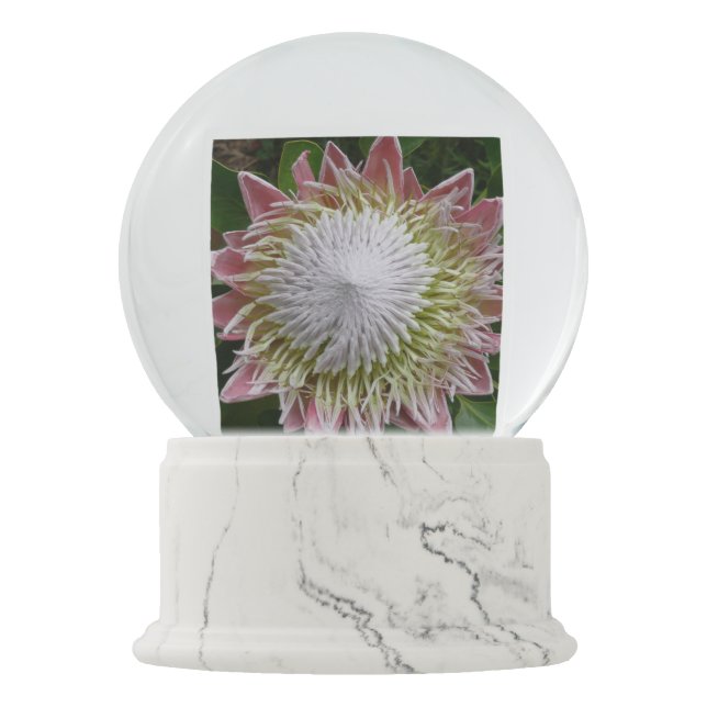 Big Pink and White Flower Nature Photo Snow Globe (Front)