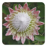 Big Pink and White Flower Nature Photo Square Sticker