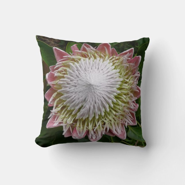 Big Pink and White Flower Nature Photo Throw Pillow (Front)