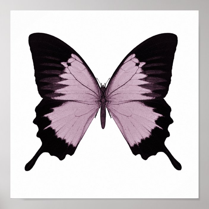 Big Pink & Black Butterfly - Personalize Poster | Zazzle.com