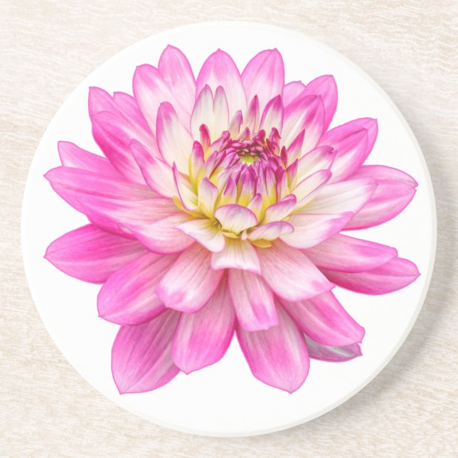 Big Pink Dahlia Coaster (Front)