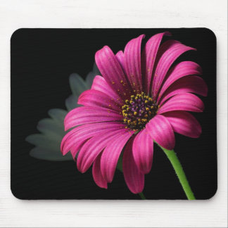 big pink flower mouse pad