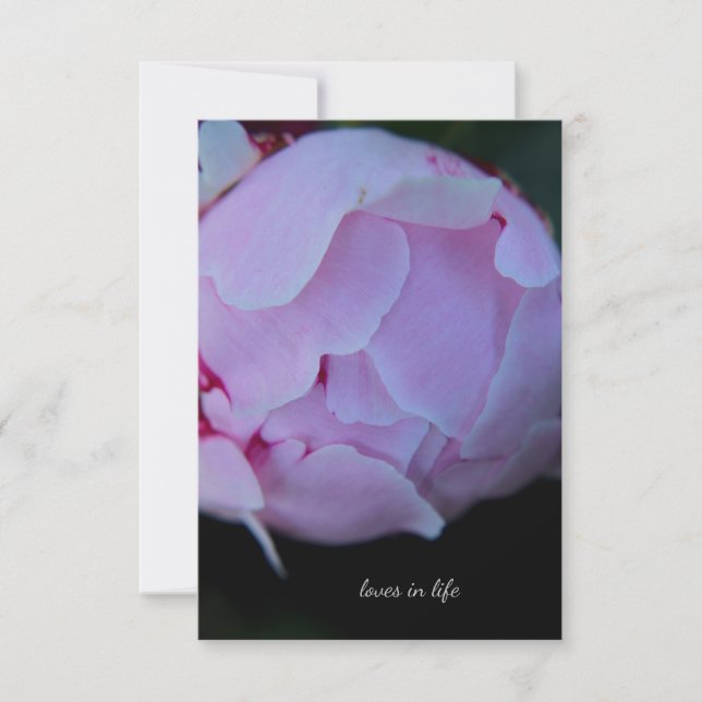 Big Pink Peony Bud Note Card (Front)