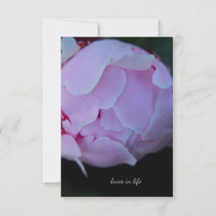 Big Pink Peony Bud Note Card