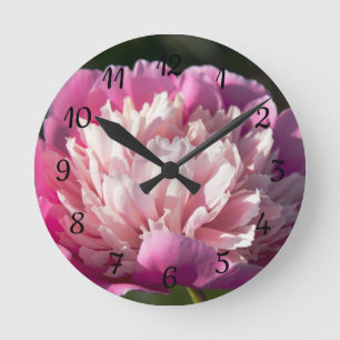Big pink peony flowers in spring day round clock