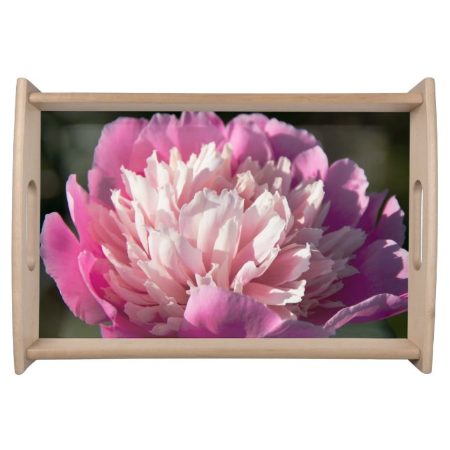 Big pink peony flowers in spring day   serving tray (Front)