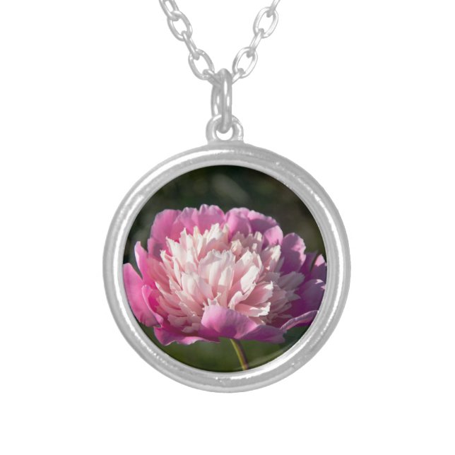 Big pink peony flowers in spring day    silver plated necklace (Front)