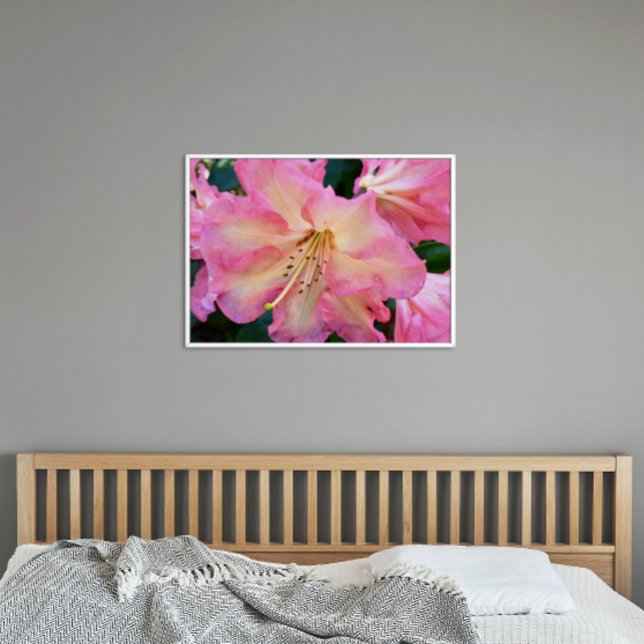 Big Pink Rhododendron Bloom Floral Poster (In Situ)