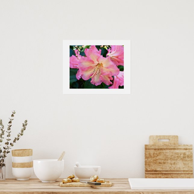 Big Pink Rhododendron Bloom Floral Poster (Kitchen)