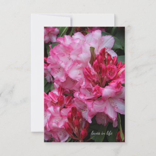 Big Pink Rhododendron Note Card
