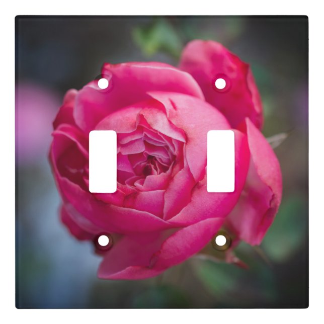 Big pink rose hanging tapestry light switch cover (Front)