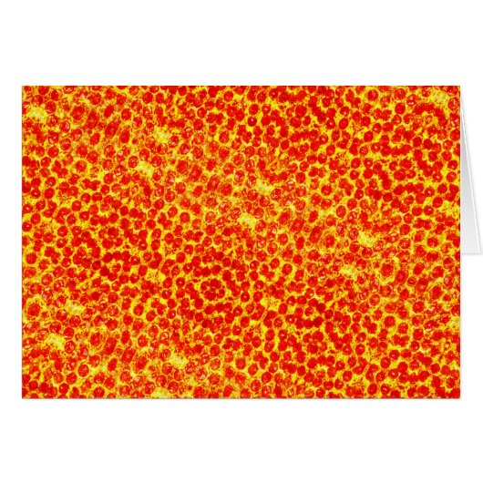 Big Pizza Pattern (Front Horizontal)