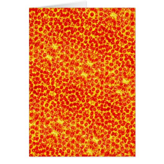 Big Pizza Pattern (Front)