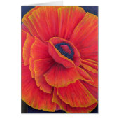 Big Poppy 2003 (Front)