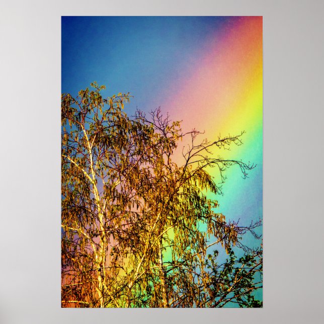 Big Rainbow Poster (Front)