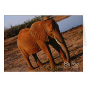 Big Red (Front Horizontal)