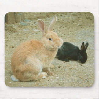 Big Red Bunny Mouse Pad